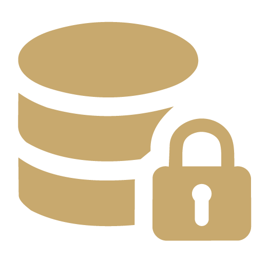 Private database icon
