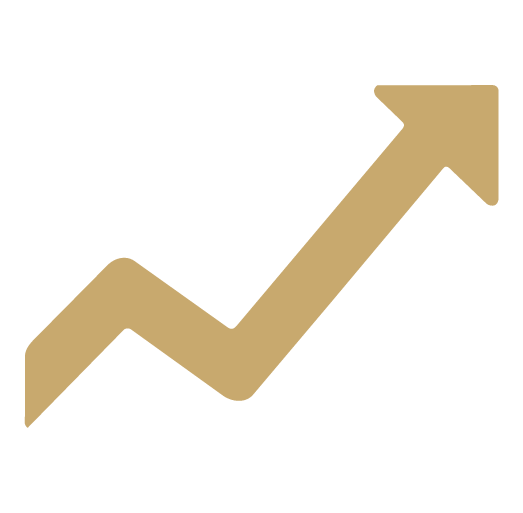 Financial reporting icon